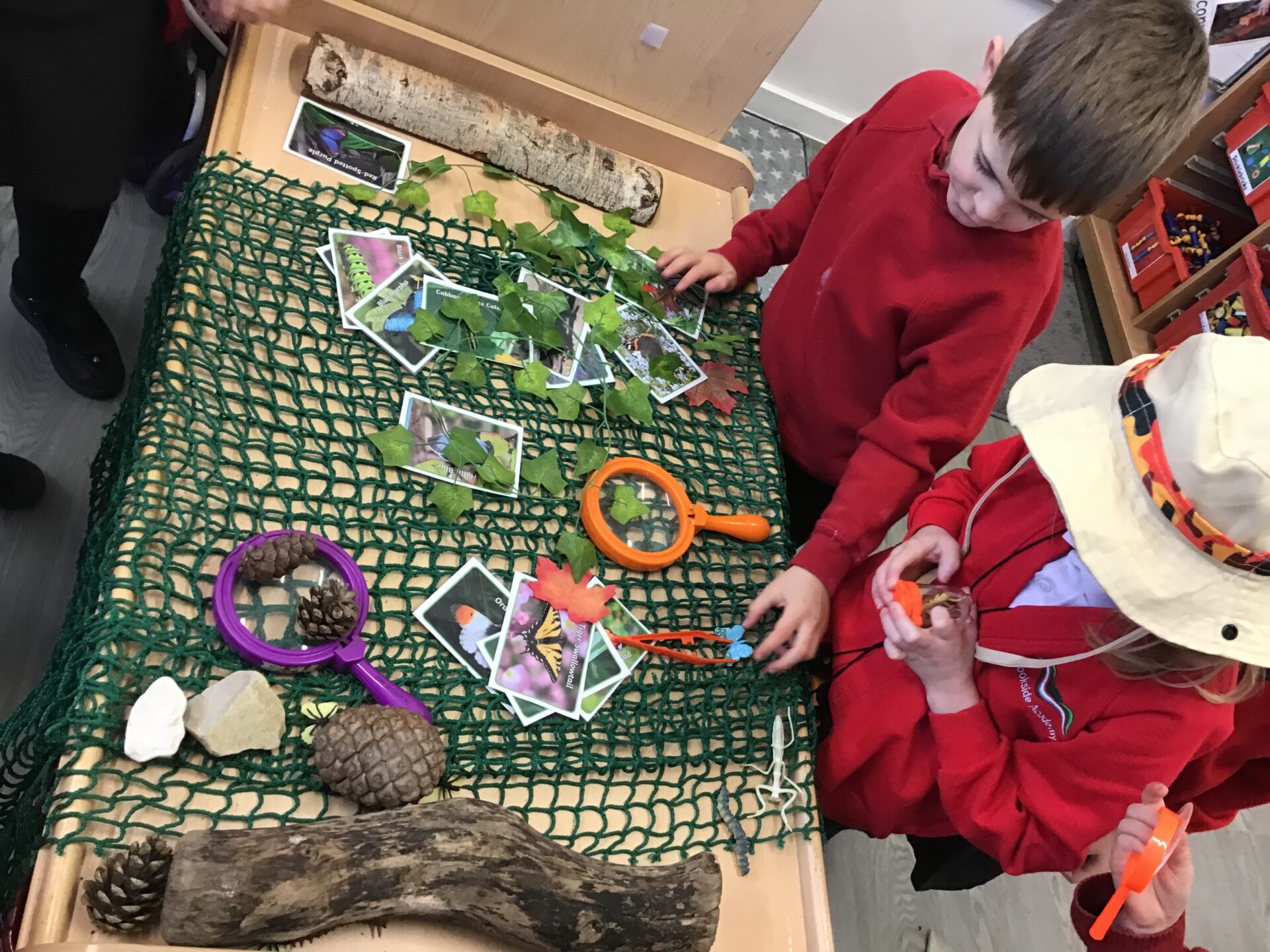 minibeasts-math-s-brookside-academy